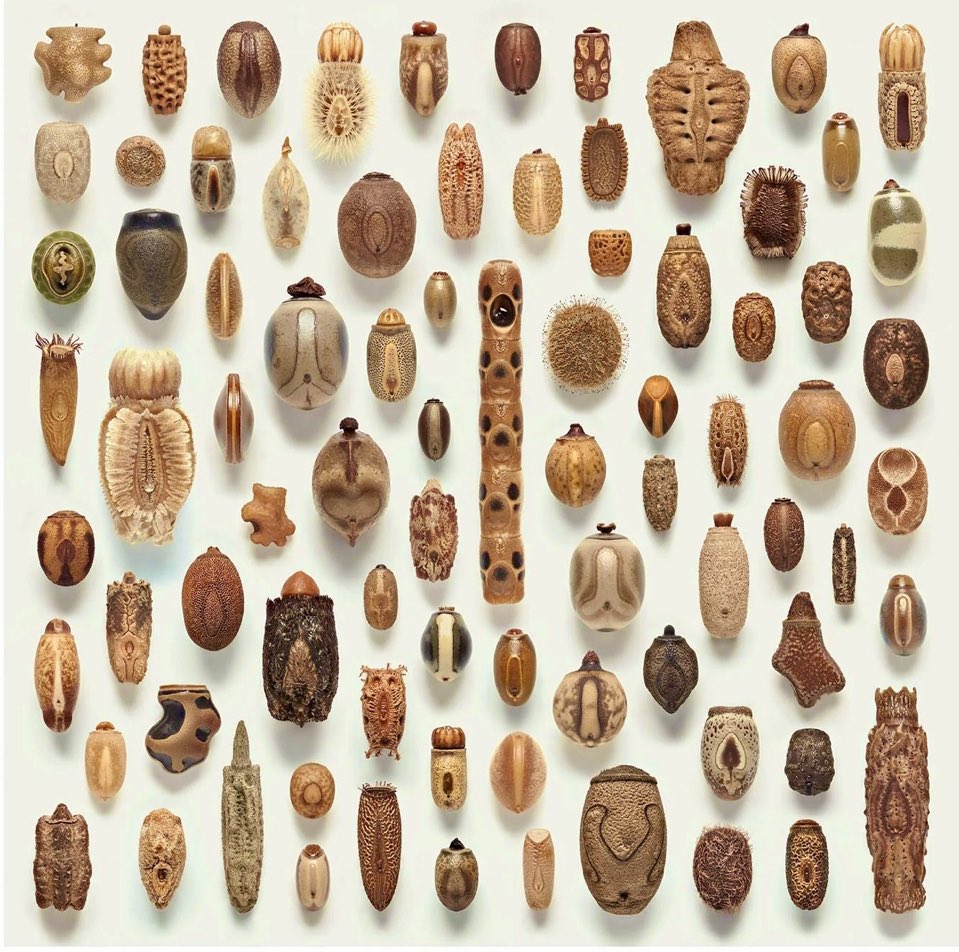 Nataly Castelblanco tweet media