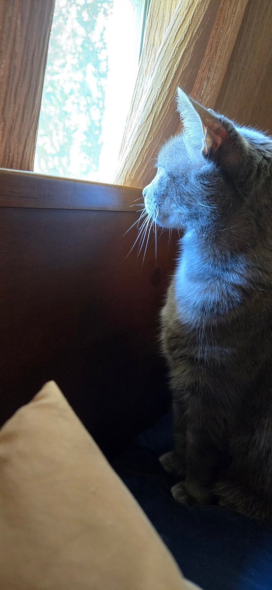 Marcy Jimenez Walker tweet media