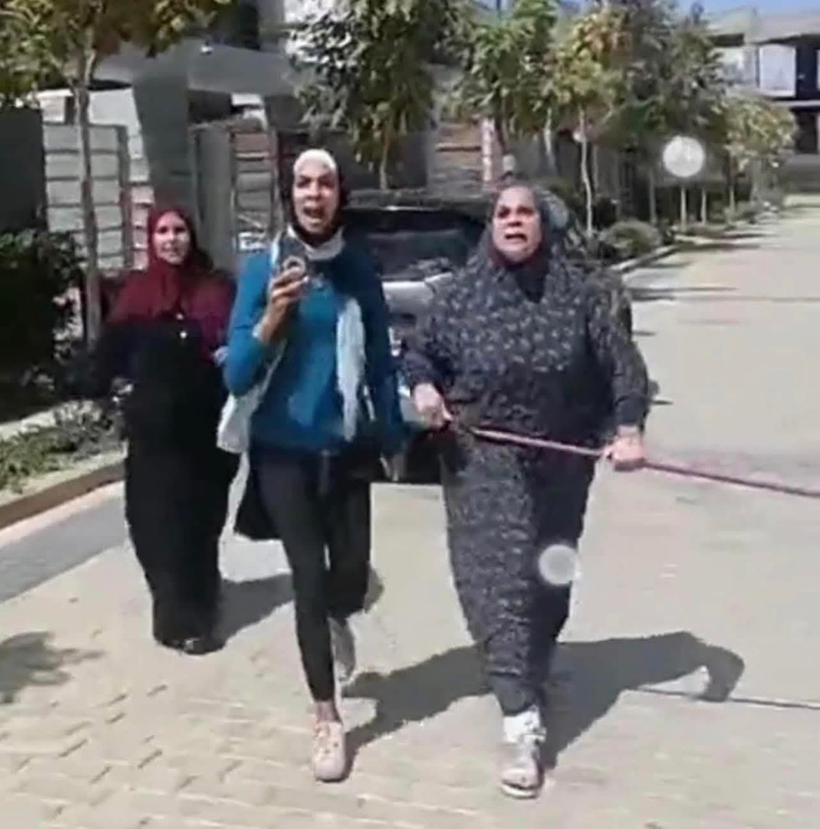 قبطي tweet media