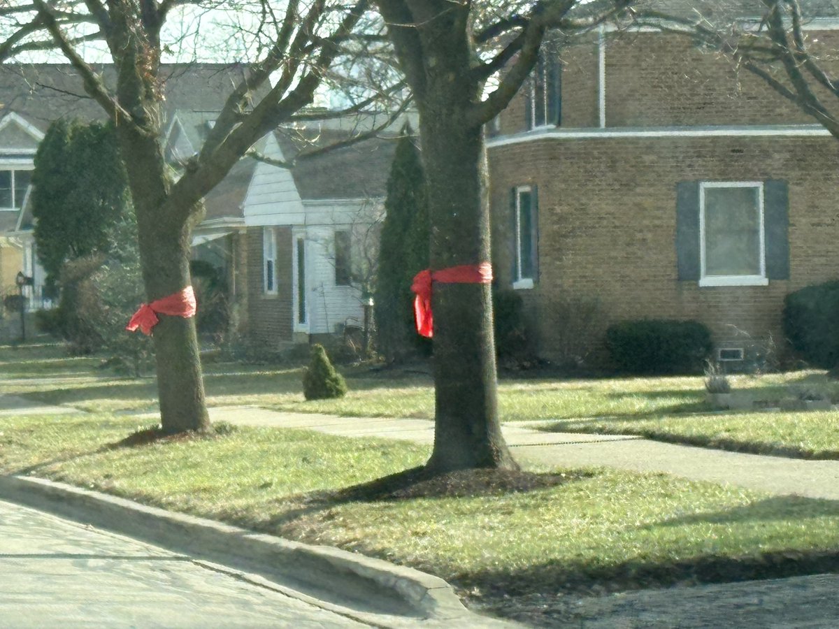 Dariush Takhtehchian, M.D tweet media