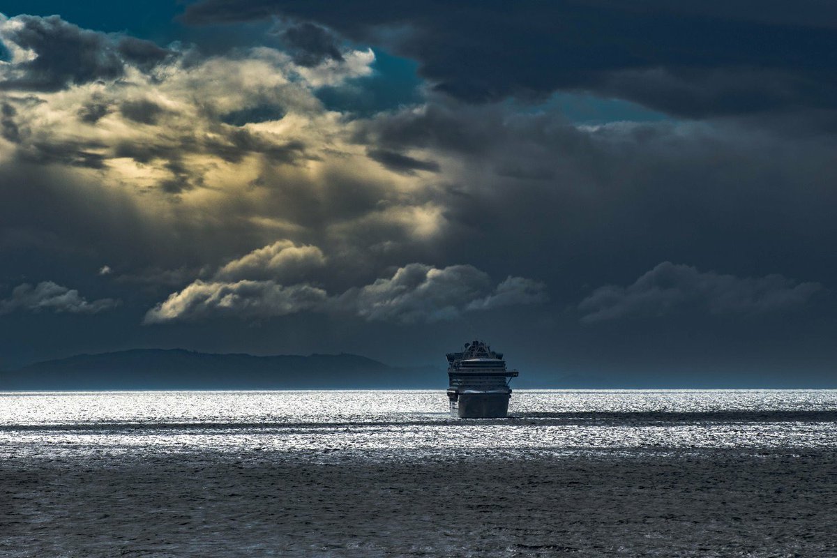 Princess of Whales tweet media