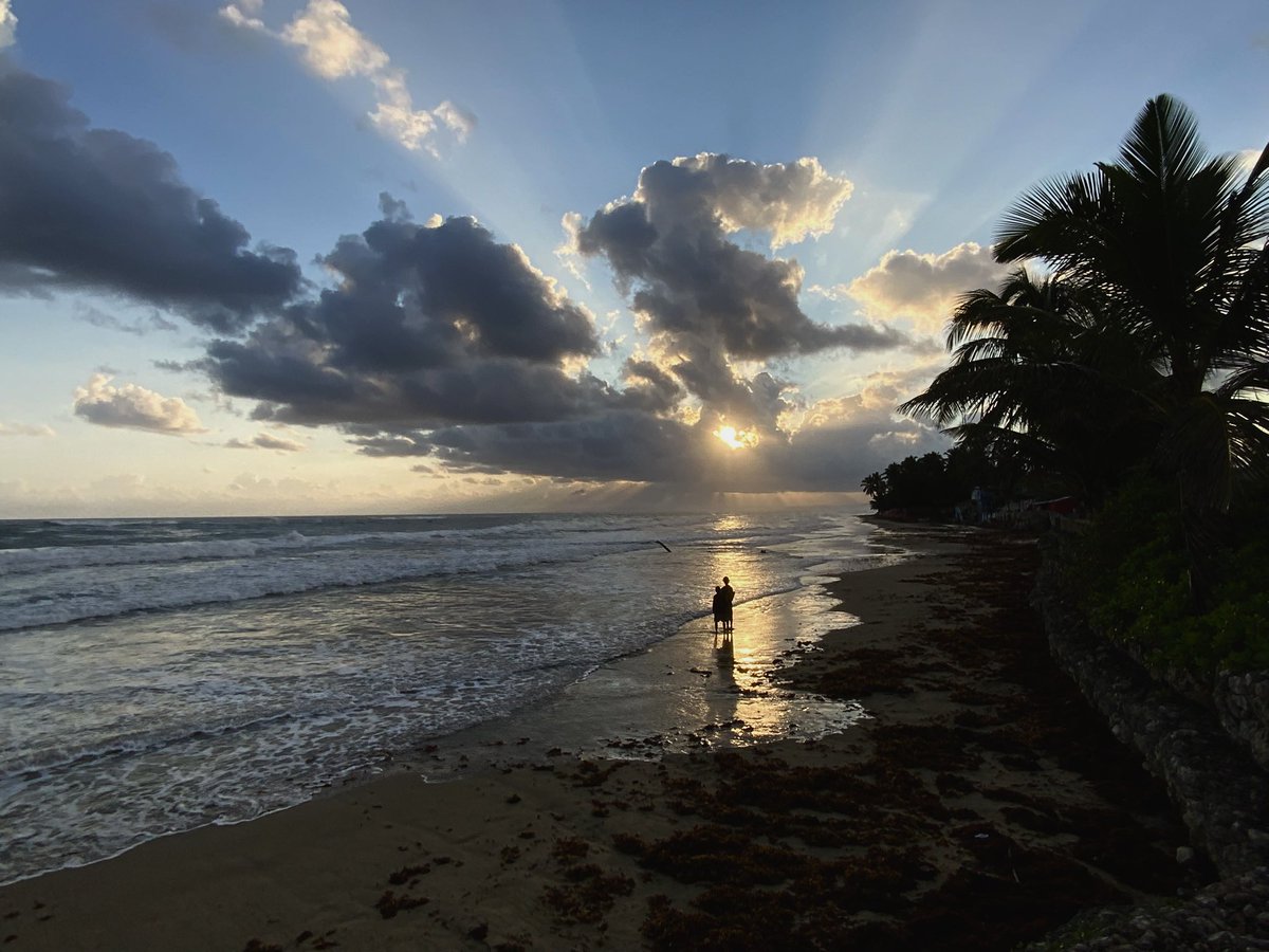 Princess of Whales tweet media