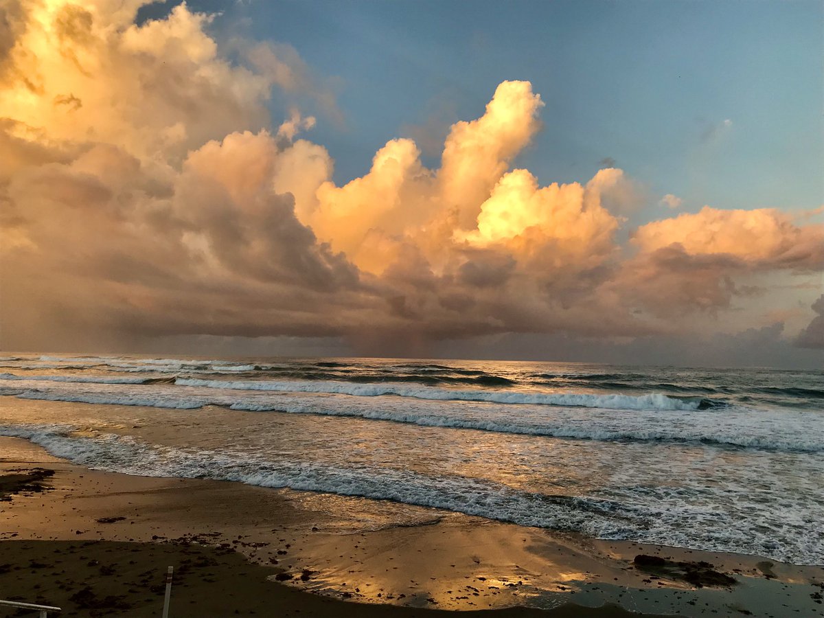 Princess of Whales tweet media