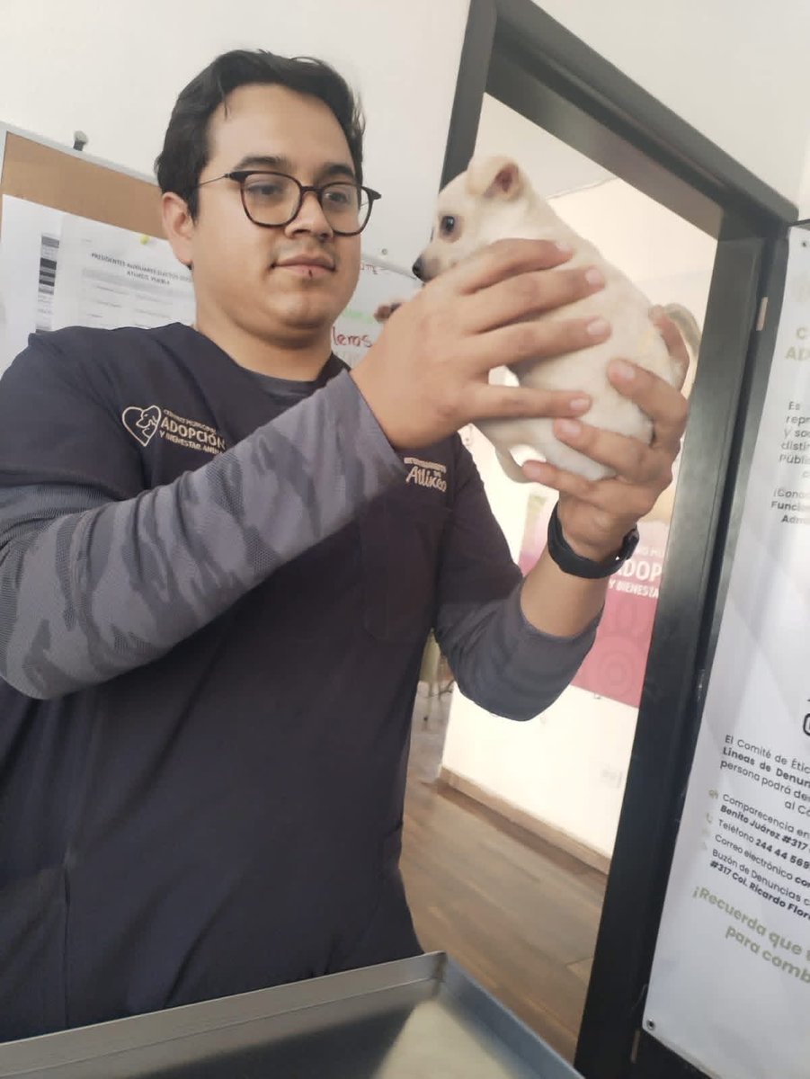 Ni Perra Idea - Periodismo Daltónico tweet media