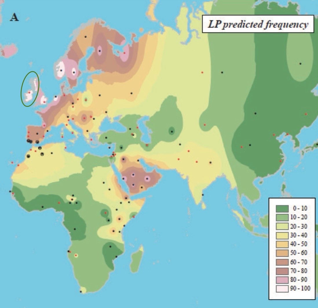 Owen McCormick tweet media