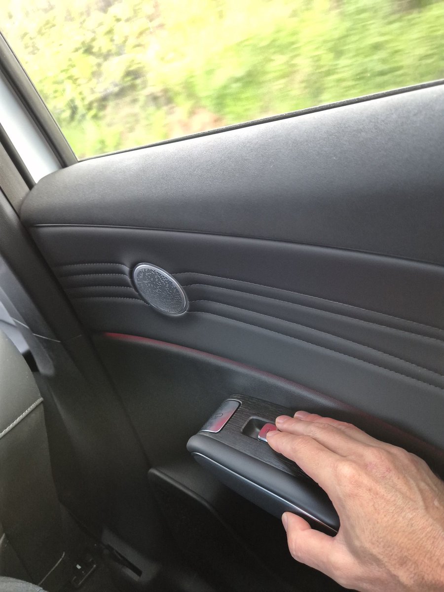 Frankito, o Curioso® tweet media