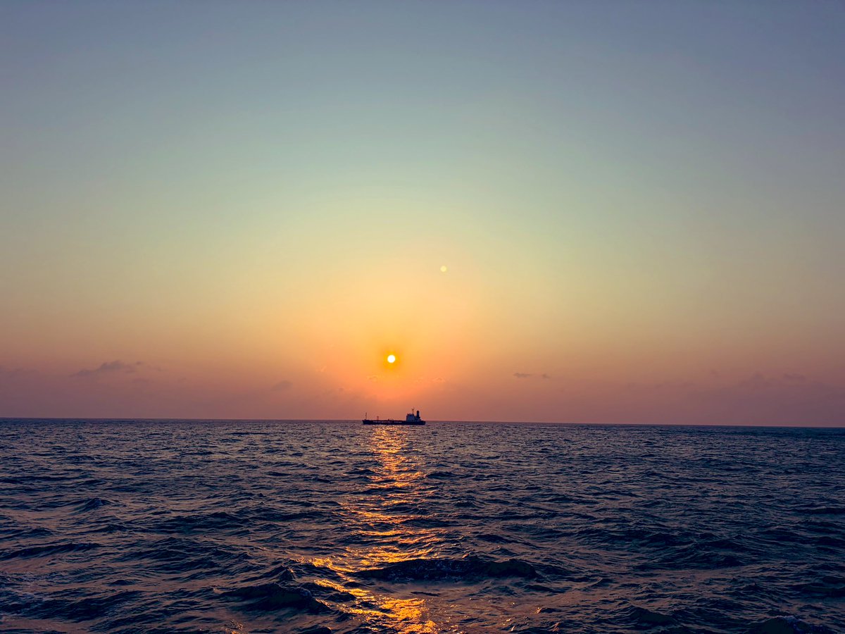 WATCH-annel【わっちゃんねる】 tweet media