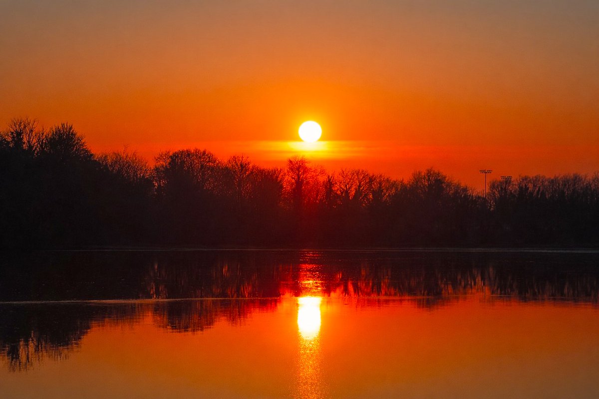 Patrick Kenealy tweet media