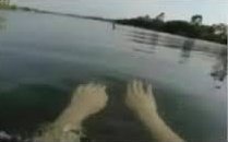 🐰𐙚 tweet media