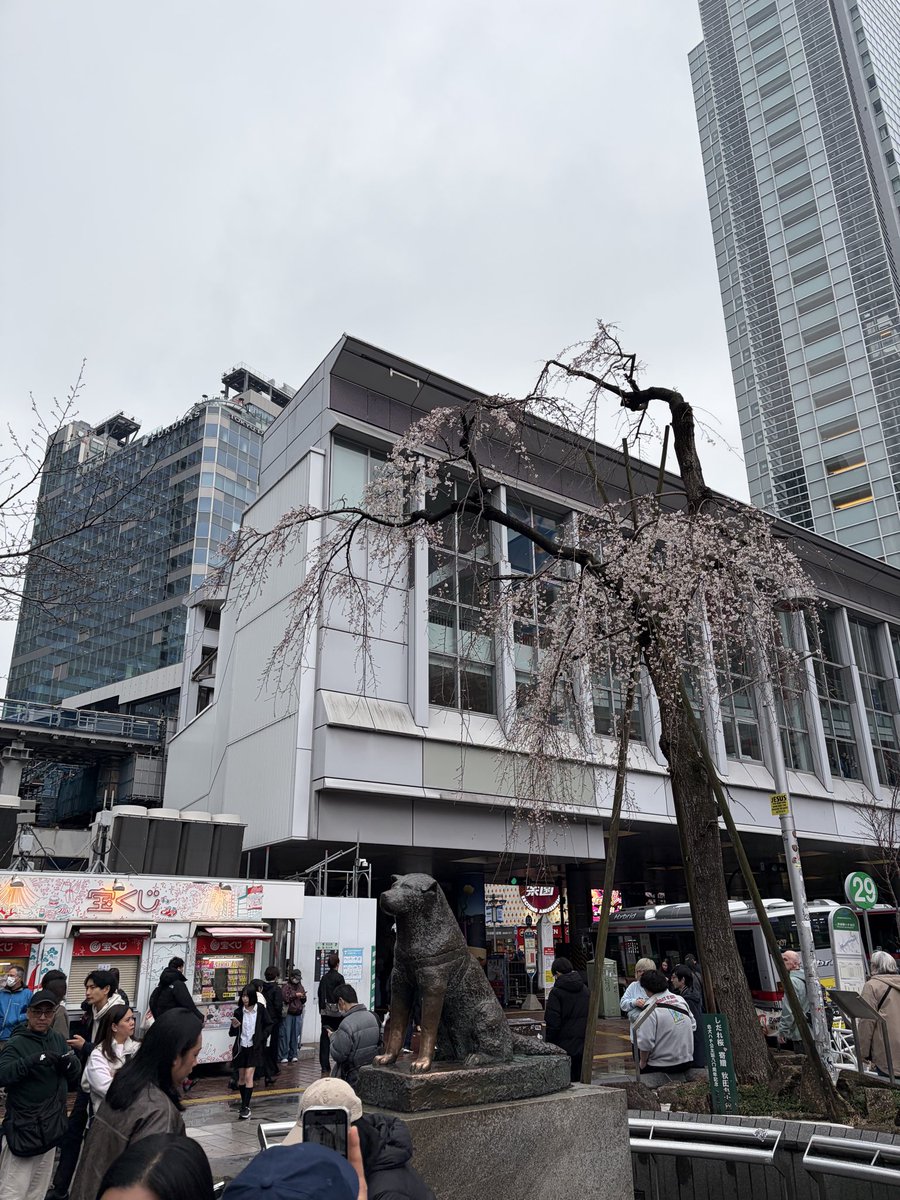 GS type86 tweet media