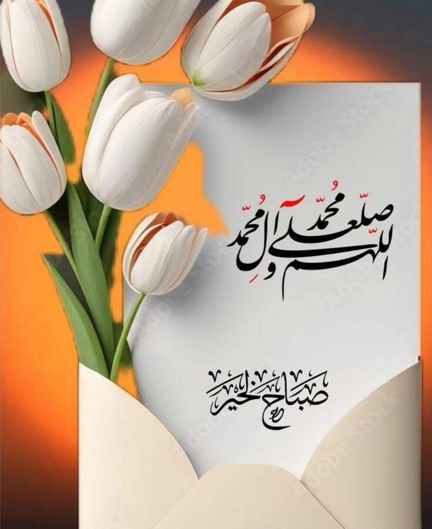 ⚘✿ زهرة التوليب ✿⚘ tweet media