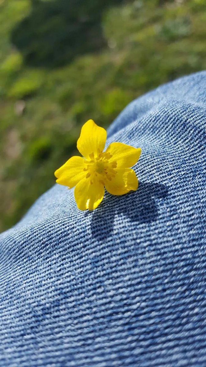 Samarqand tweet media