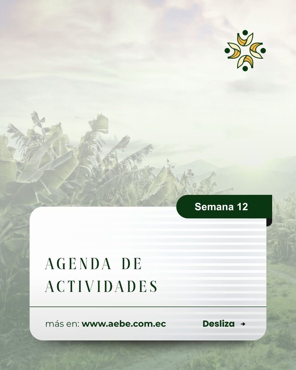 AEBE 🇪🇨🍌 tweet media