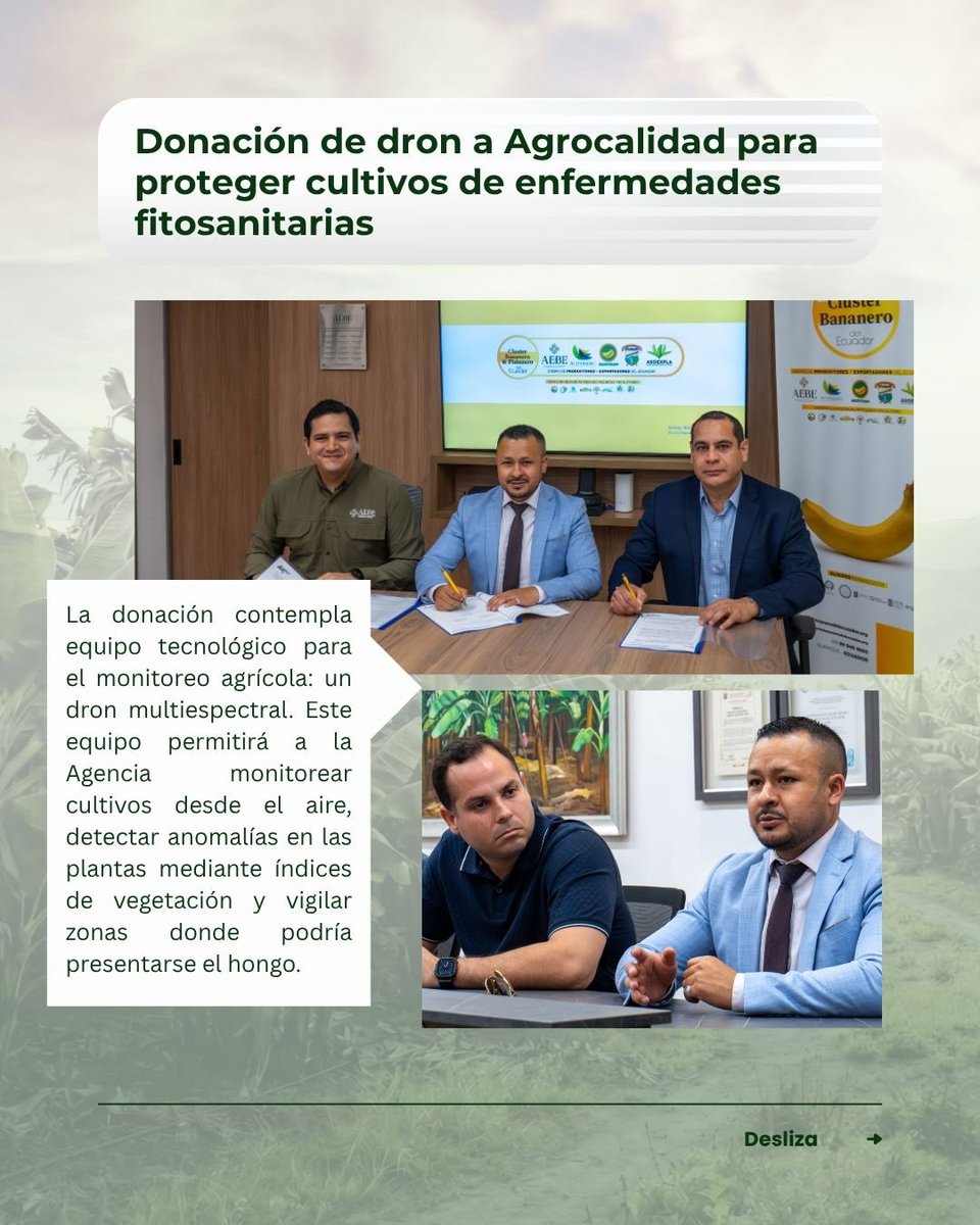 AEBE 🇪🇨🍌 tweet media