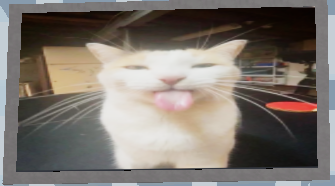 5454bxcd00261's tweet image. Imagine being a @Roblox @Roblox_Support agent and looking like this 👅 while ignoring a 2025 ownership proof. 📜🤡My account 'badr3mk90' is still banned. 18 days of laziness! 😴Check Ticket #162801042 now!#Roblox #RobloxSupport #LazySupport