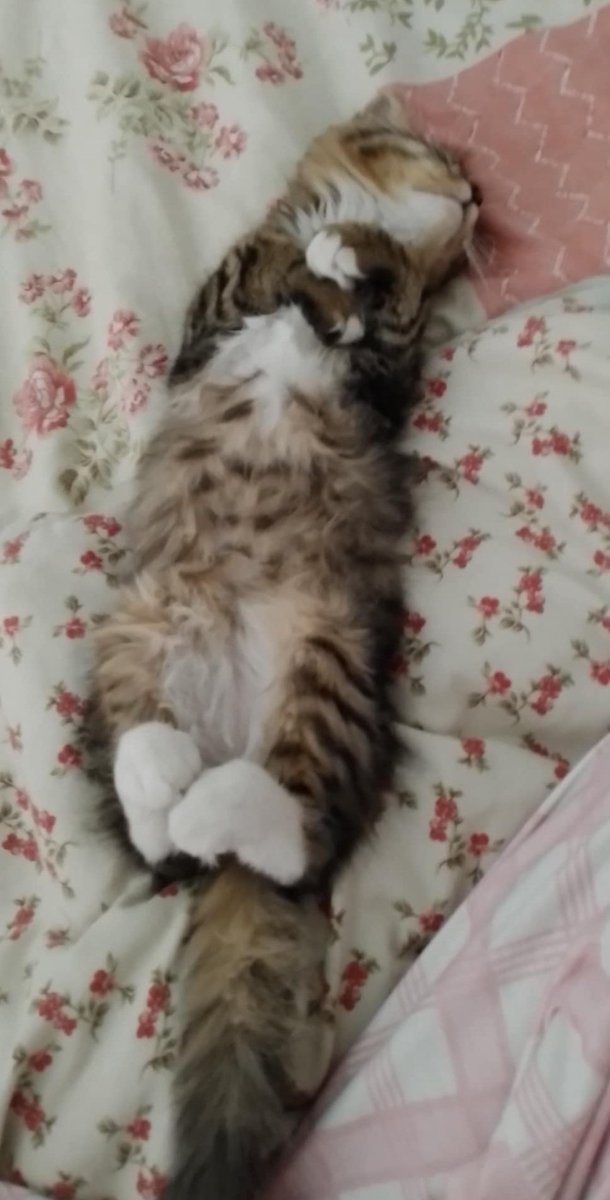 Mercredi 🏴‍☠️💀 tweet media