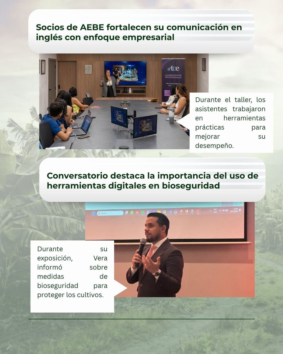 AEBE 🇪🇨🍌 tweet media