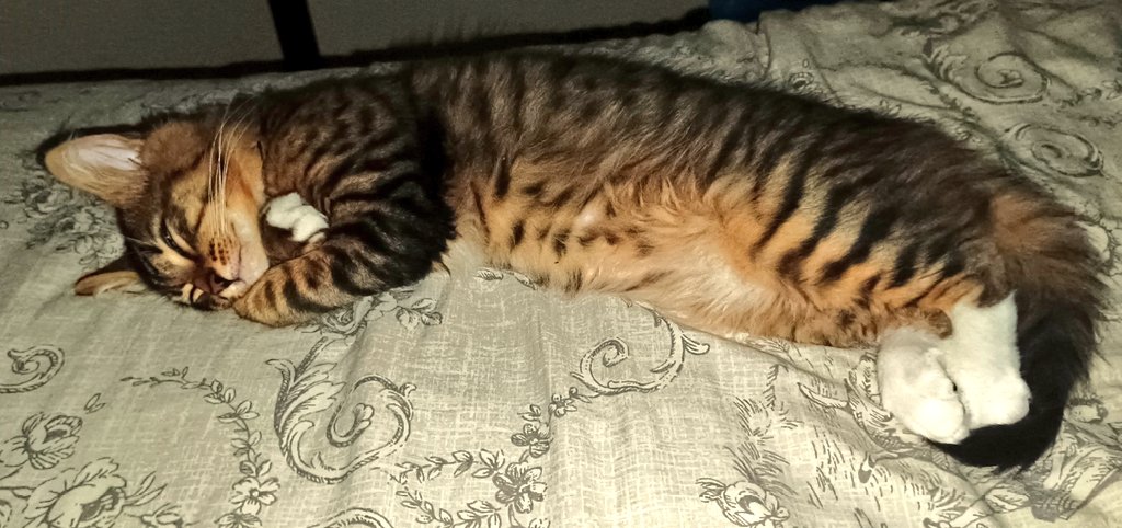 Mercredi 🏴‍☠️💀 tweet media