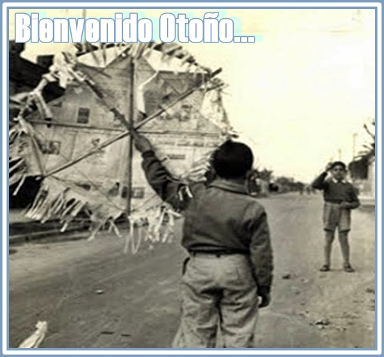 Claudio Abuin tweet media