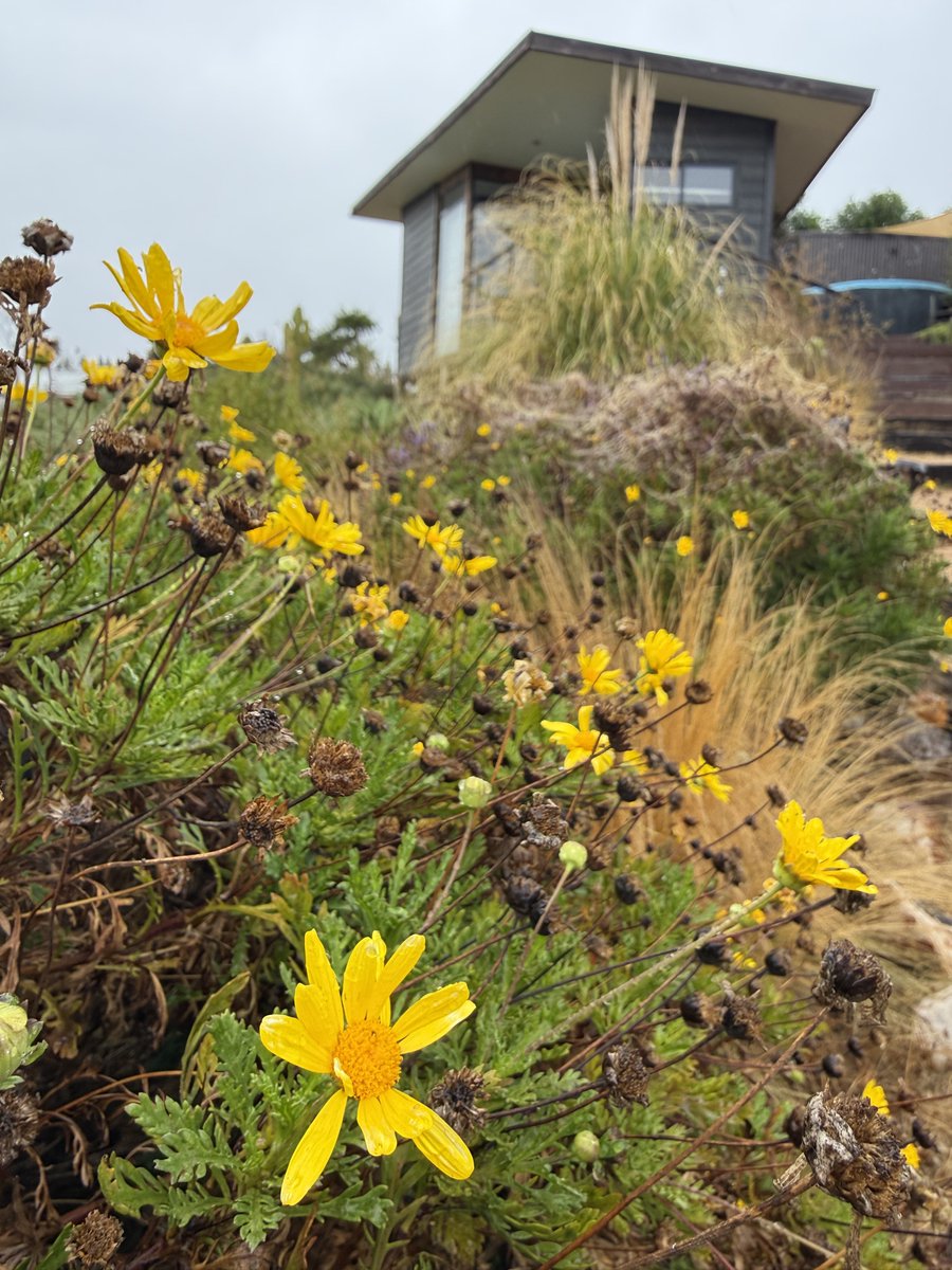 A n d a s h i a n 🤵🏻‍♀️ tweet media