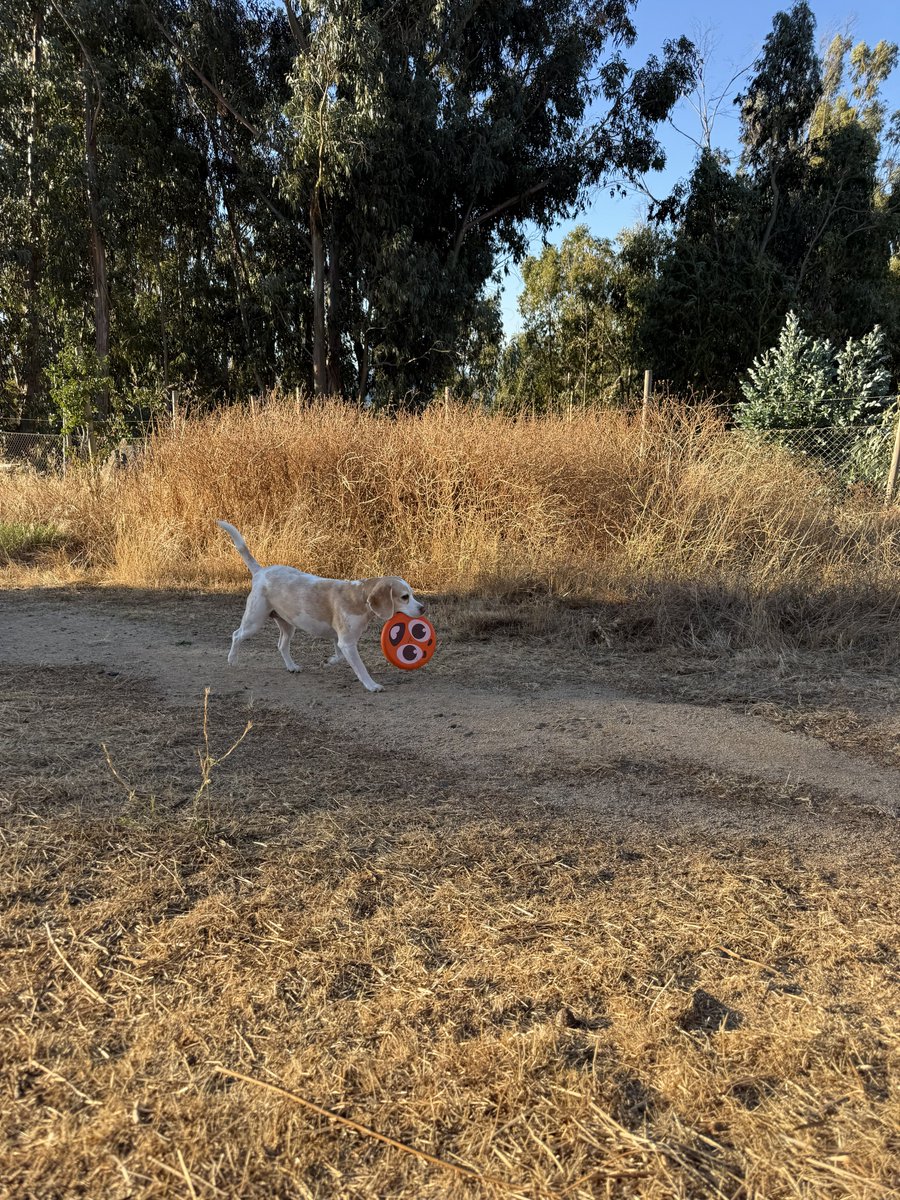 A n d a s h i a n 🤵🏻‍♀️ tweet media