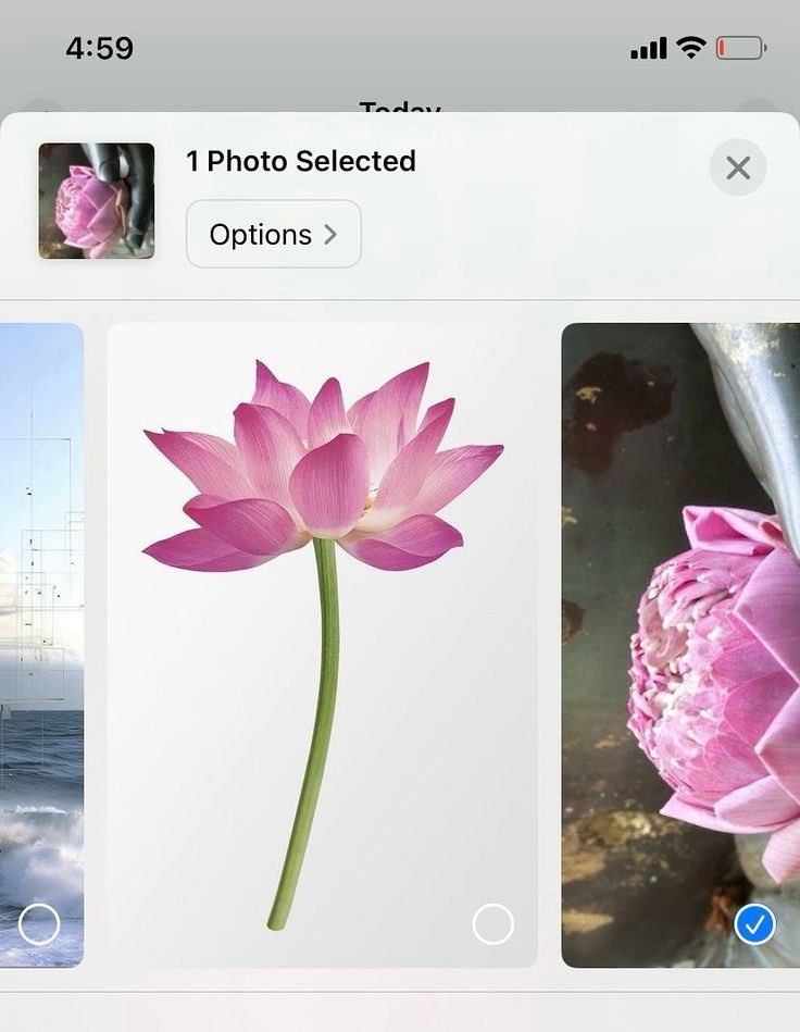 Stellnyang 𝜗𝜚 tweet media