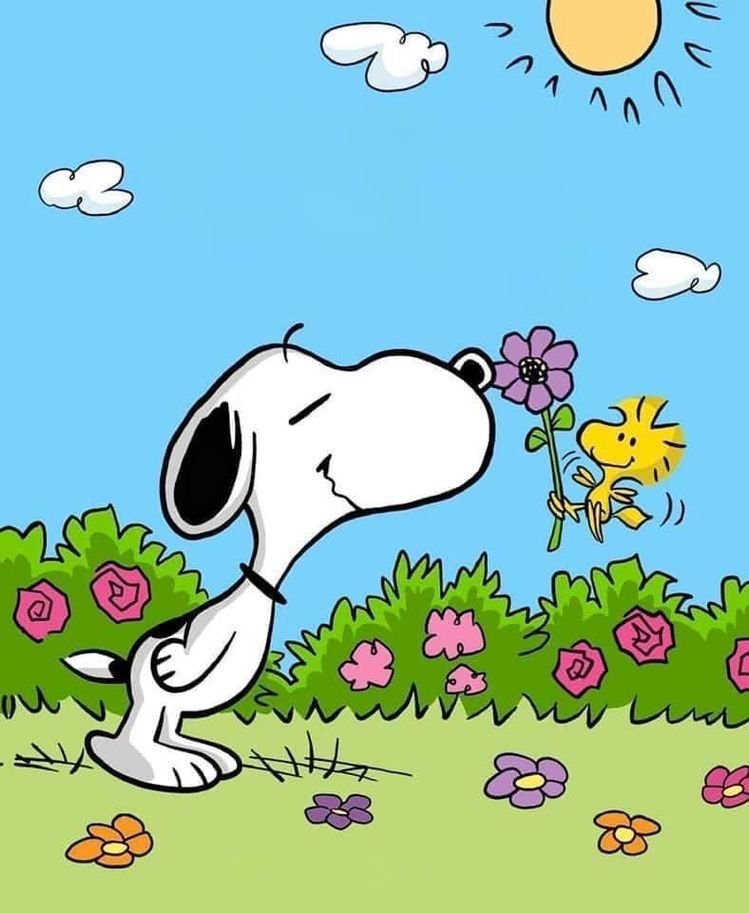 marysia_cc's tweet photo. happy Spring https://t.co/rNf6iO8tOA