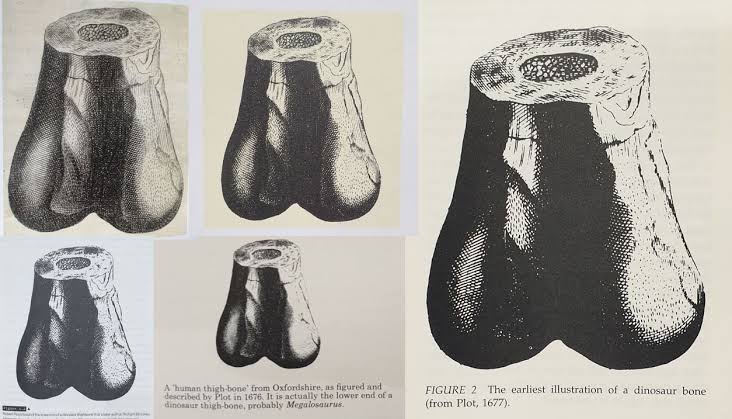 S U P 3 R 1 0 R (W0RTH) tweet media