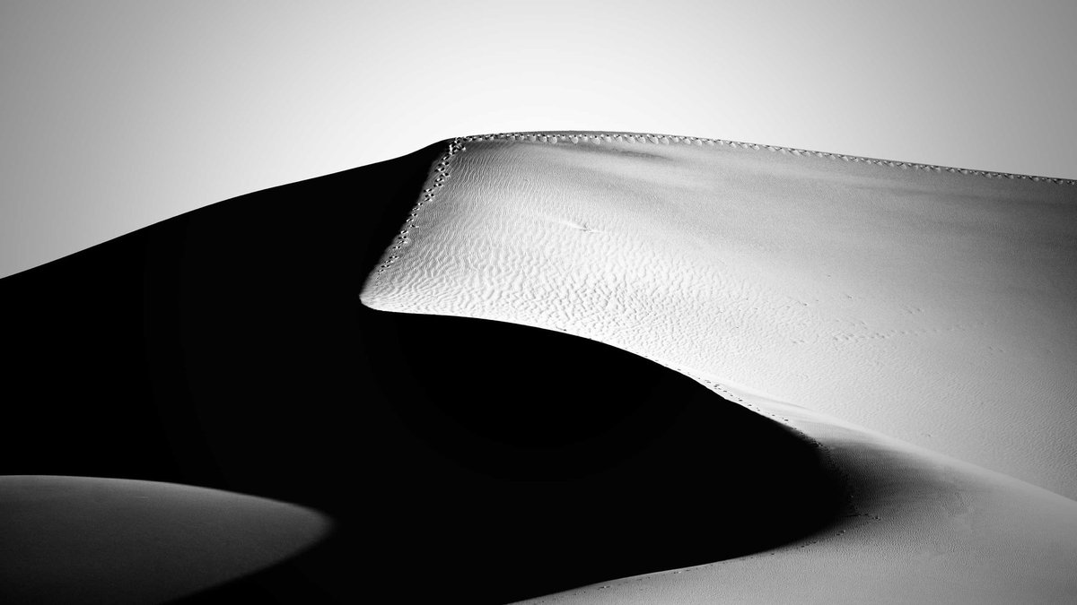 Michael Buda || DropBear Visuals 📸 tweet media