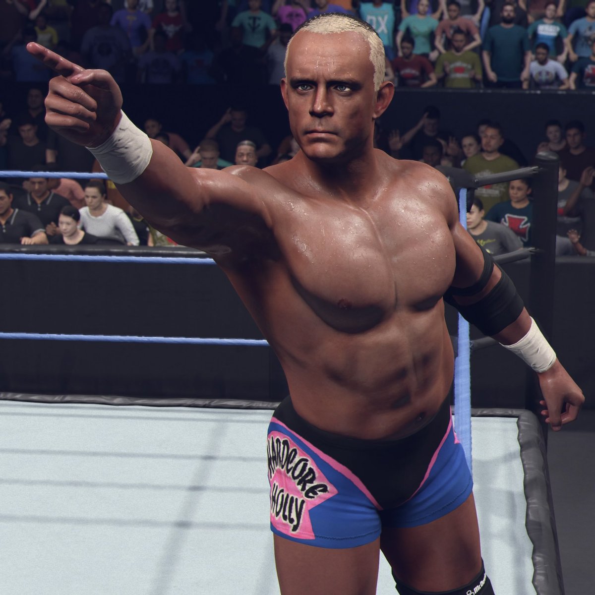 RealShawnStylz's tweet photo. Im very excited to announce the release of my first creation for @WWEgames #WWE2K26 as part of the @2K_Generations project @TheBobHolly he was one of my favorite performers from the attiude era and someone who deserves a spot on any WWE Game roster! 

Face texture: @eXecutionerX91 
Moveset: @Bryan_Footy 
Attire logos: @catchomania @GameVolt1 
Render: @eXecutionerX91 @WhatsTheStatus 

Tags:
HardcoreHolly
2KG
ShawnStylz
