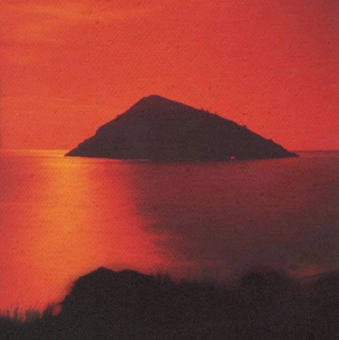 𝐬𝐨𝐯 tweet media