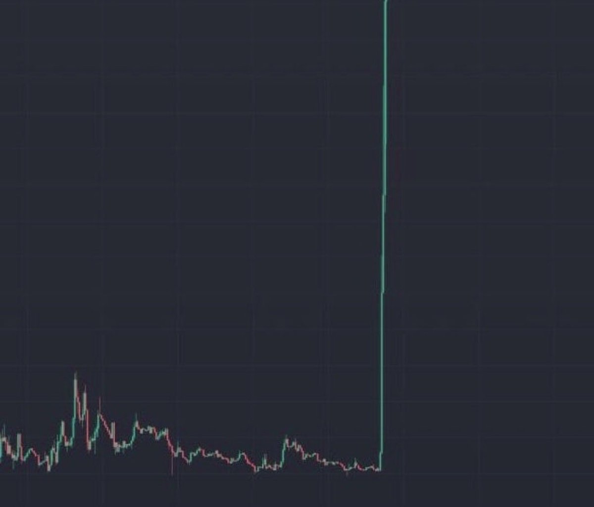 Thomas James Investing tweet media