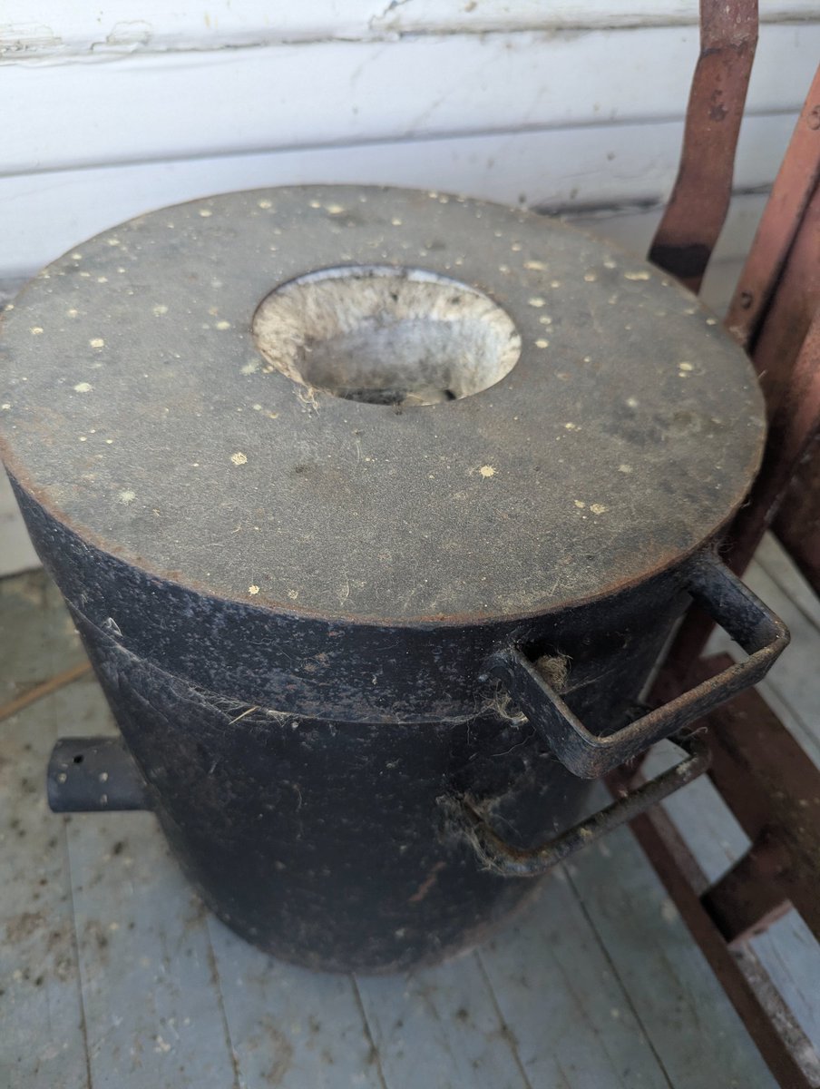 RandomBarnCat tweet media