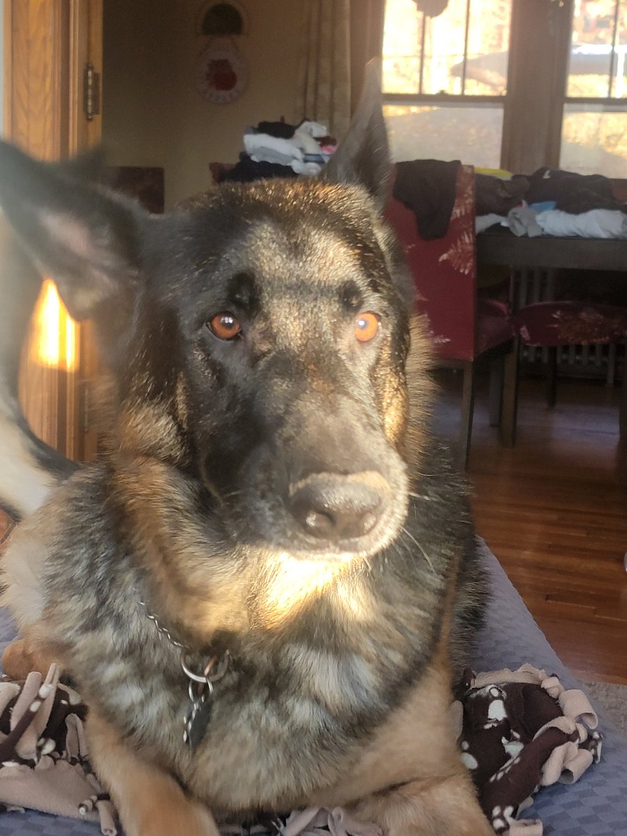 Adrian Fenton tweet media