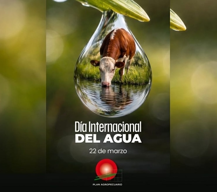 PlanAgro's tweet photo. 22 de marzo - Día Internacional del Agua 

Recurso vital para nuestra producción, el campo y el mundo... 💧🐮🌱🌎

#CuidemosResponsablementeElAgua #DíaMundialDelAgua #RecursoPreciadoDelPlaneta #RecursoNatural #Agua #Vida #Ganadería #PlanAgro https://t.co/sfqAa1WFar