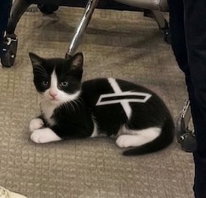 Paul A. Szypula 🇺🇸 tweet media