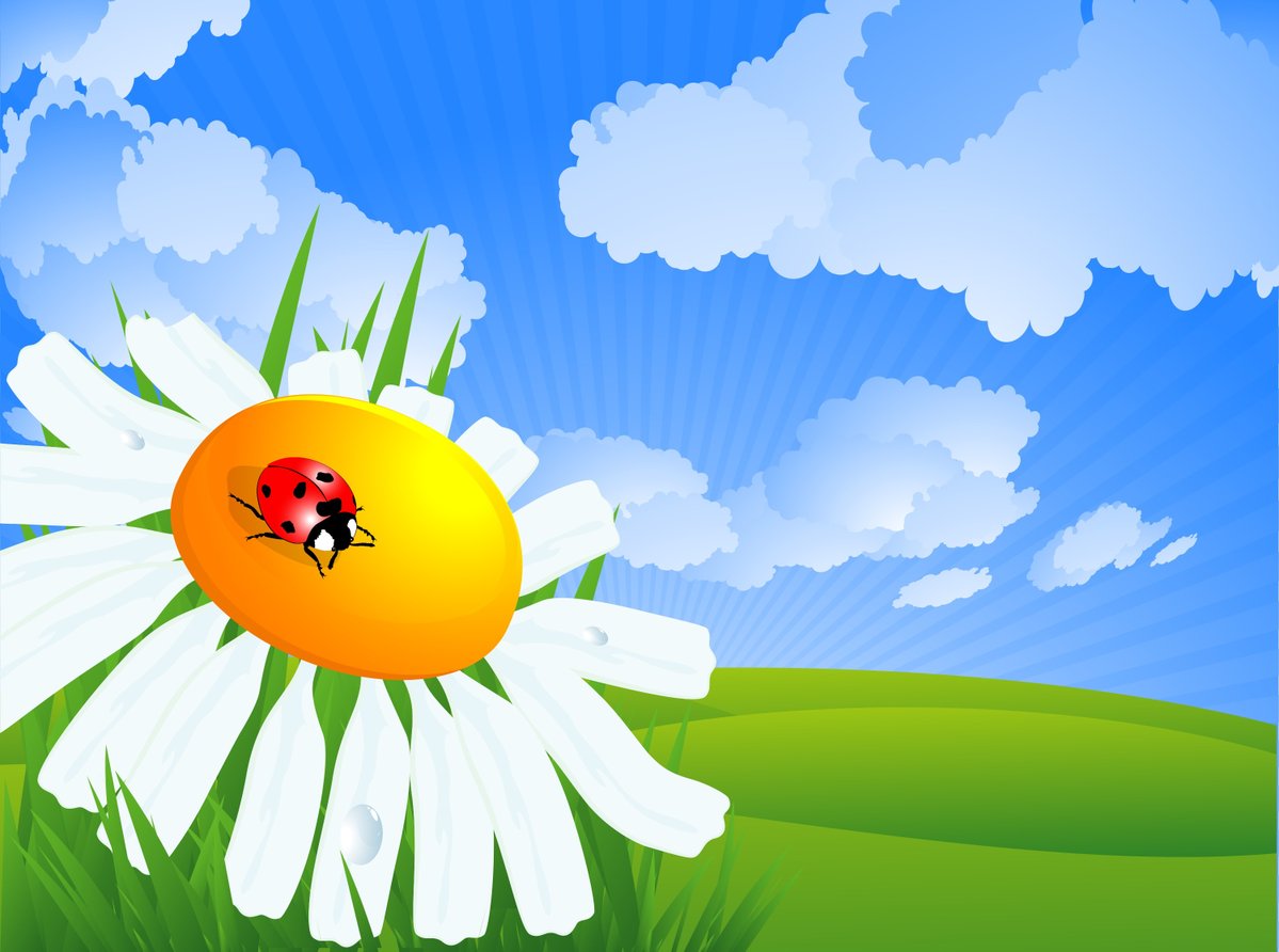 WNZR 90.9 FM tweet media