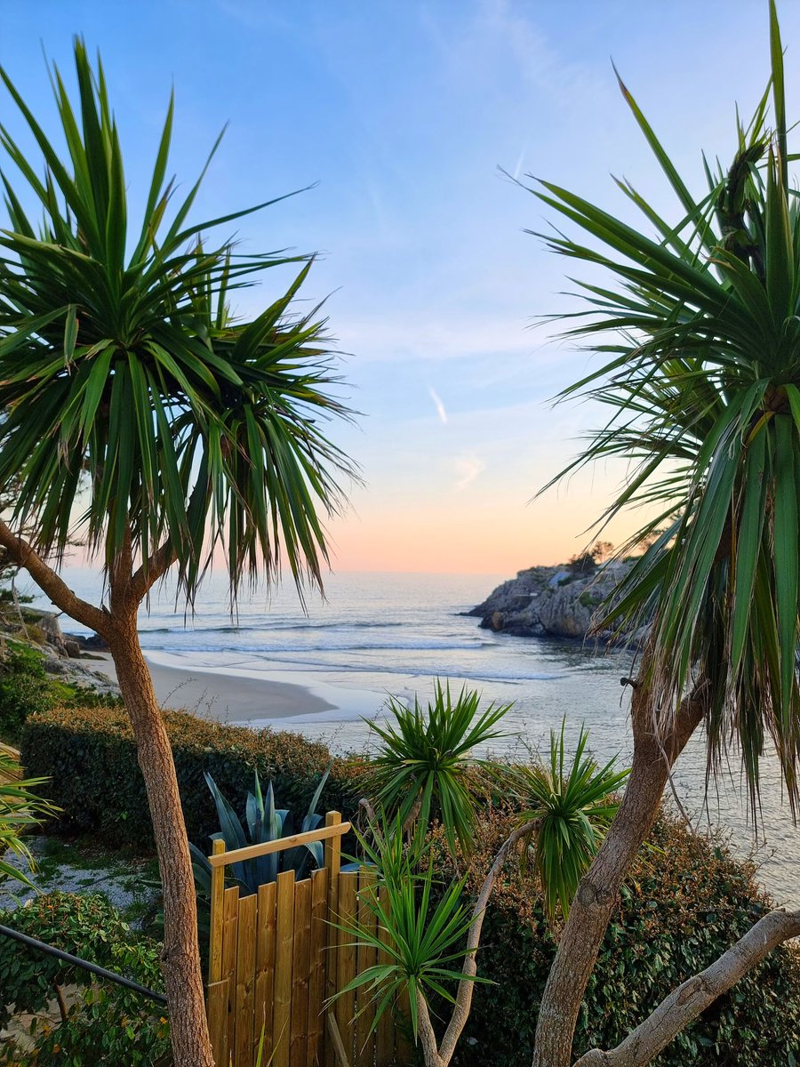 ⚓ CéLine Made In Bzh tweet media