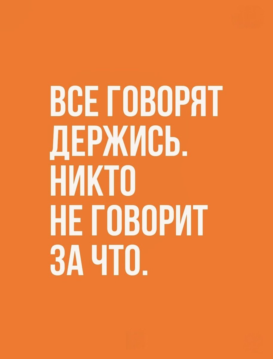 абсентье tweet media