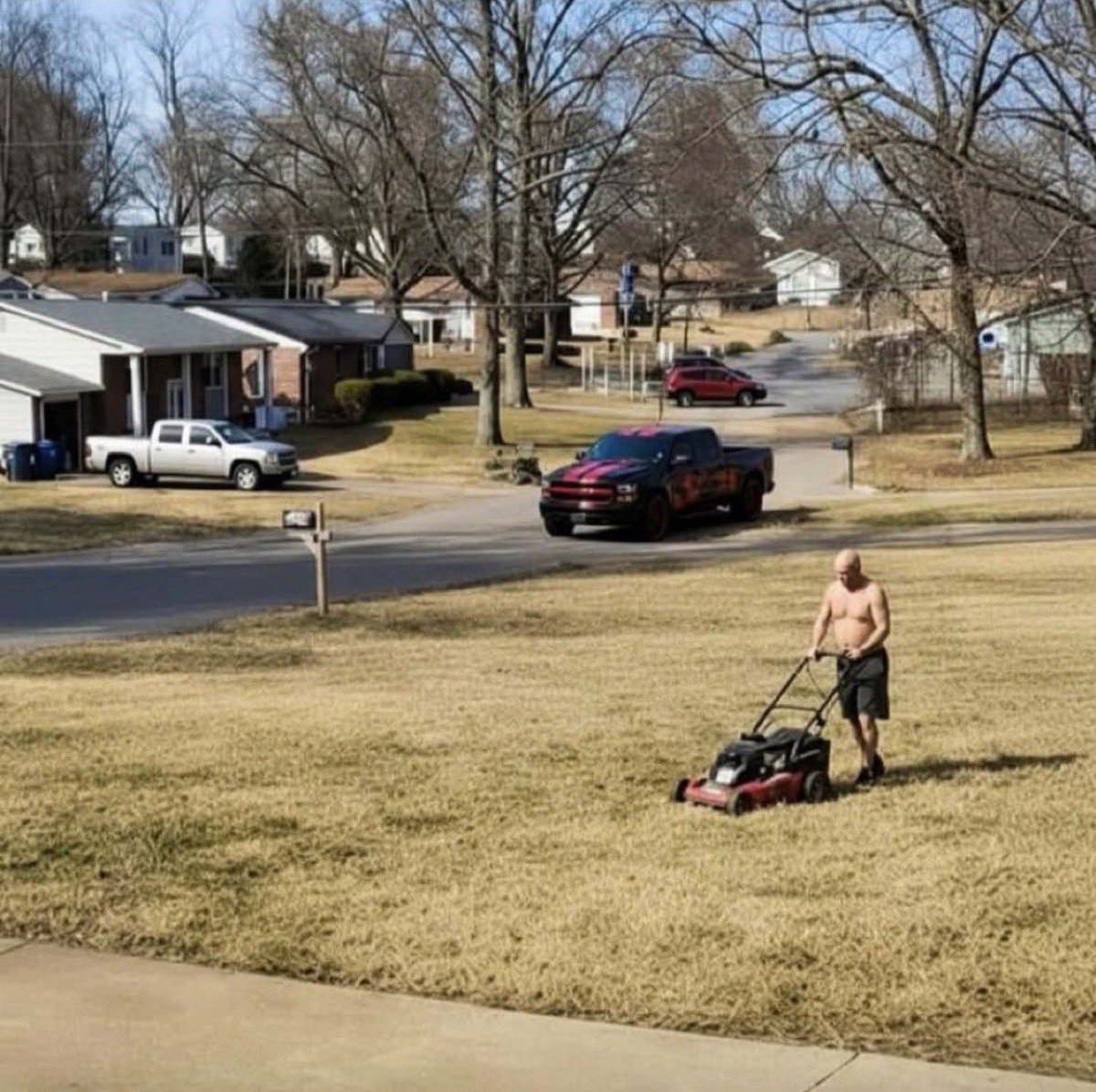 Noble Nations❤️ tweet media