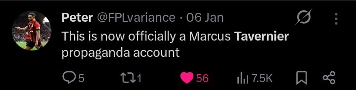 FPL Michael tweet media