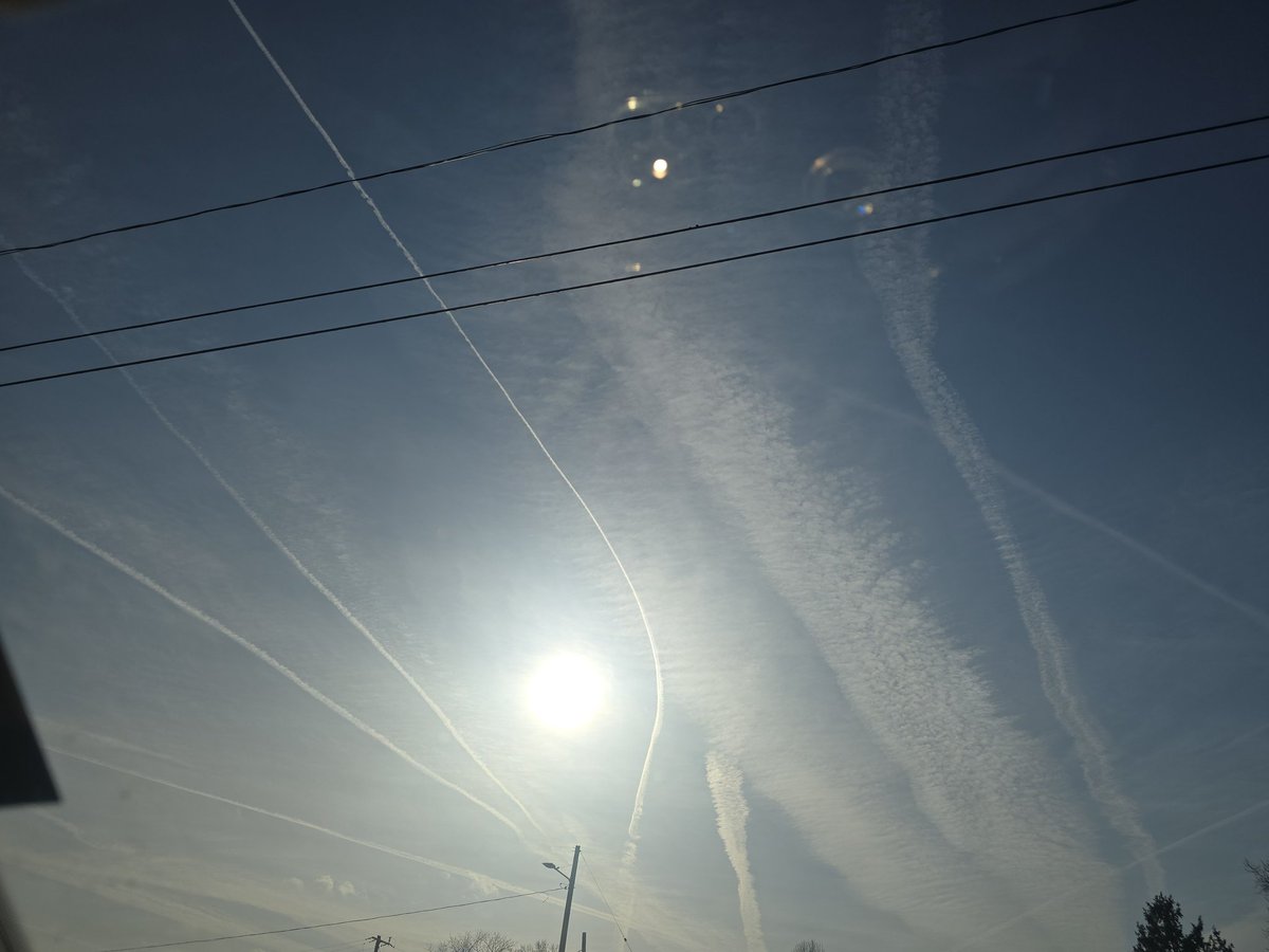 Jesse Lynn♥️ tweet media