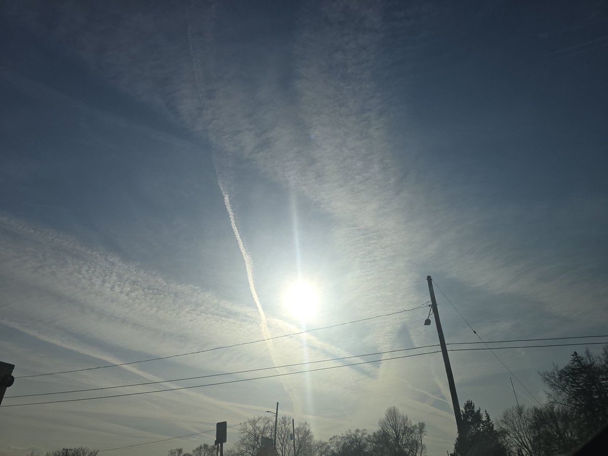 Jesse Lynn♥️ tweet media