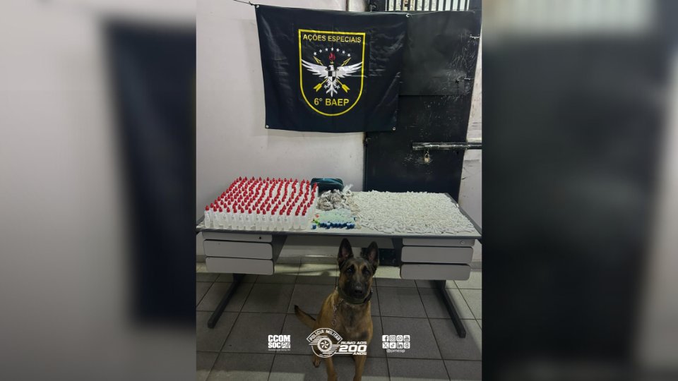 Polícia Militar do Estado de São Paulo tweet media