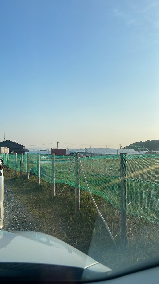 くまーる tweet media