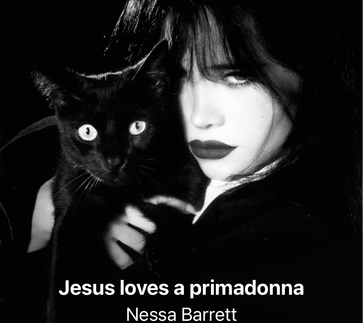 𖦹 ☼ ⋆｡˚⋆ฺ tweet media