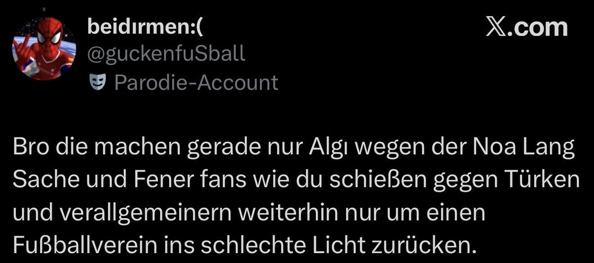 Berlin 🇹🇷 #SaranIstifa tweet media