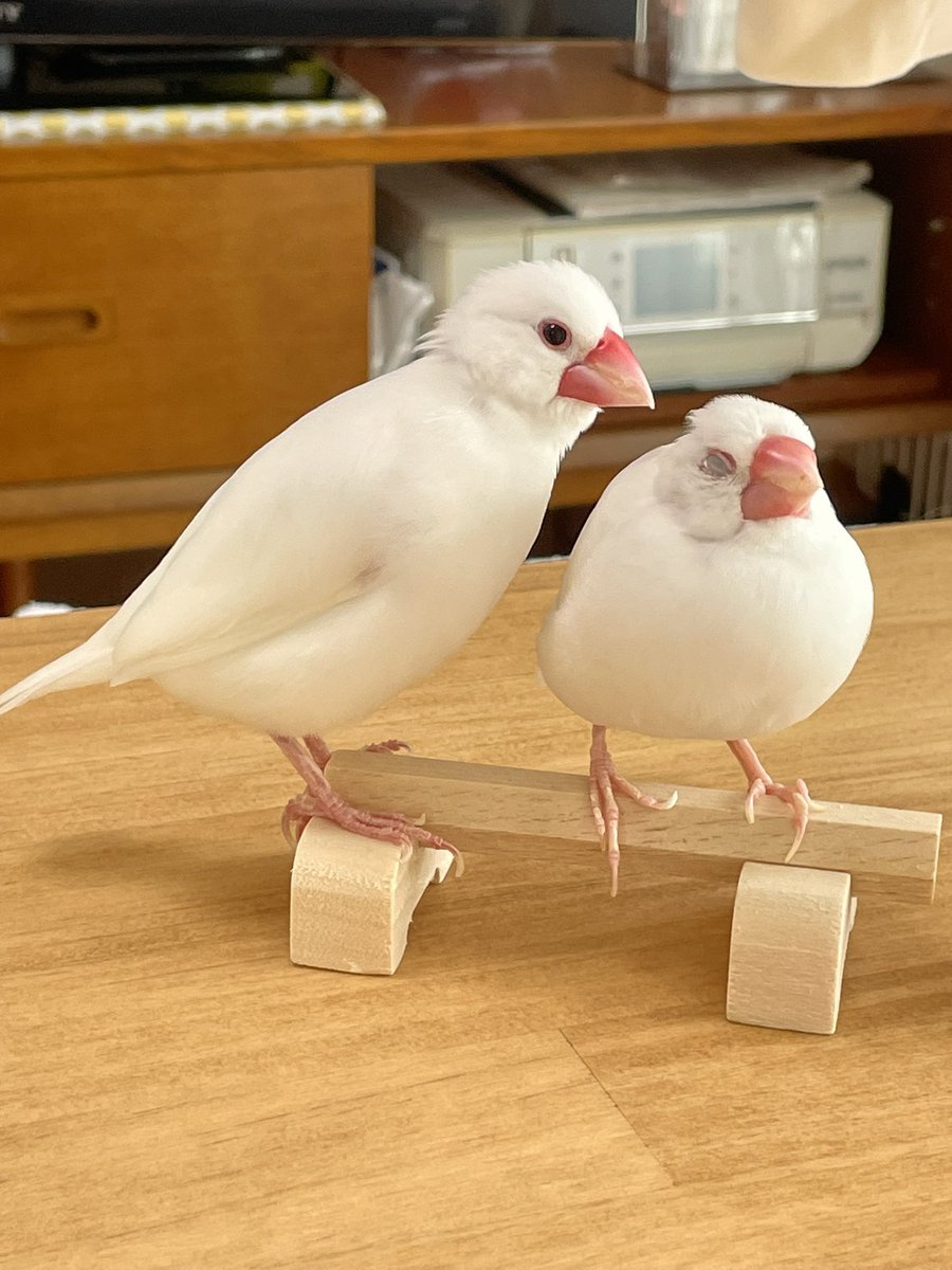 よんちゃ tweet media