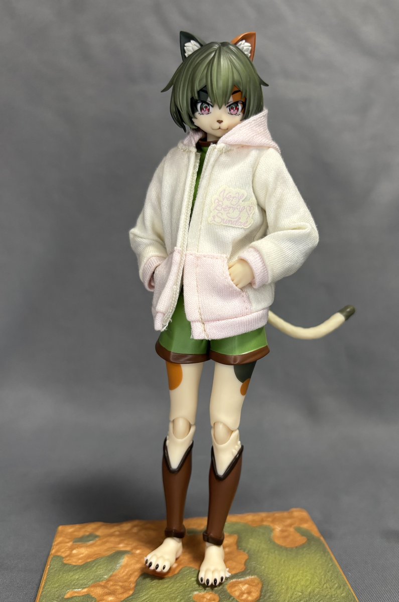 しとぴっちゃん tweet media