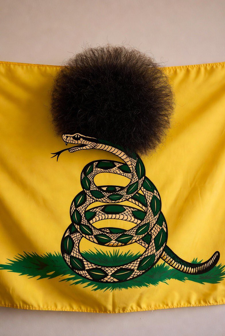 Being Libertarian tweet media